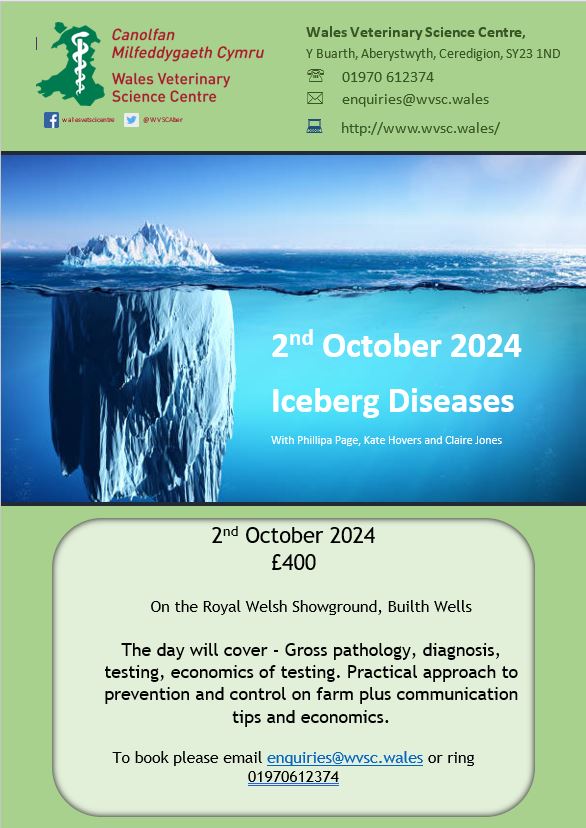 Iceberg diseases flyer